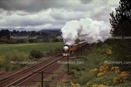 SP 4449, GS-4 class Steam Locomotive, 4-8-4, Southern Pacific Daylight Specia, Turner Road