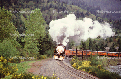 SP 4449, GS-4 class Steam Locomotive, 4-8-4, Southern Pacific Daylight Special, Minnow Creek