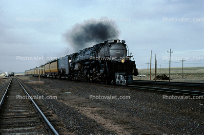 Union Pacific UP 3985, Cheyanne Wyoming, 7 May 1994