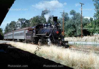 Sierra Railroad #28, 2-8-0, Tuolumne, October 1963, 1960s