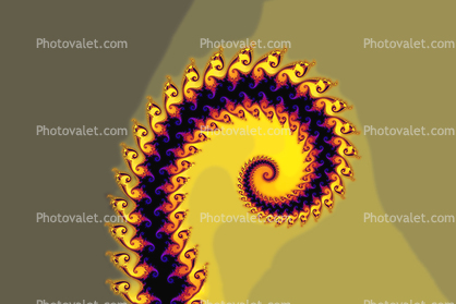 Spiralistic Conflageration of Zids Spiral, Octopus Arm