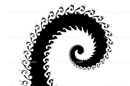 Octopus Arm, Spiral