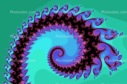 Octopus Arm, Spiral