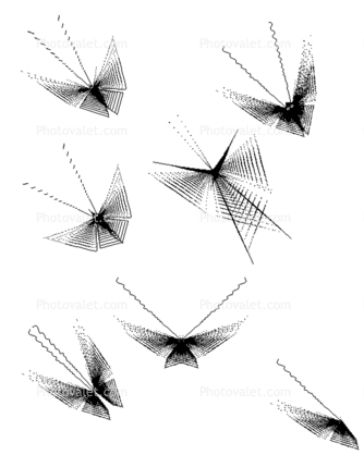 Flight of the Mathematical Butterflies