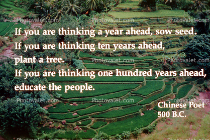 If you are thinking a year ahead . . . . , Photo-quote