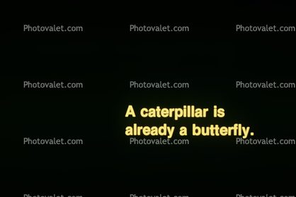 A caterpillar is already a butterfly