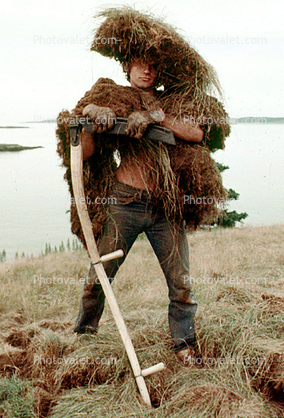 Dirt Man Dawg, Bear Island, Penobscot Bay, Maine, 1975, 1970s