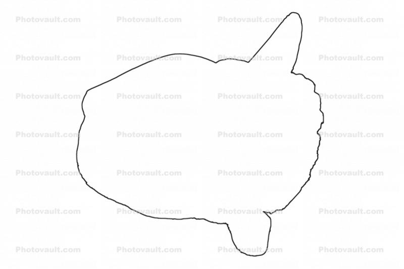 Sunfish outline, line drawing