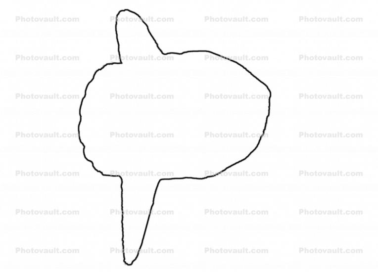 Sunfish outline, line drawing