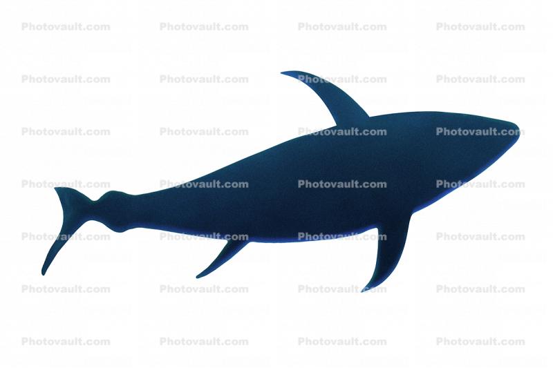 Tuna Fish, photo-object, object, cut-out, cutout