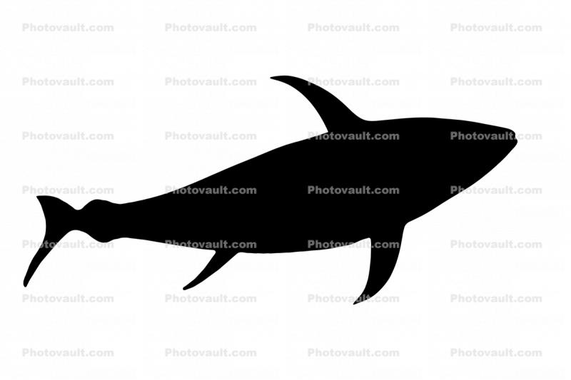 Tuna Fish silhouette, logo, shape