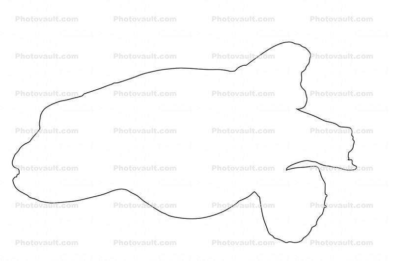 Golden Puffer outline, (Arothron meleagris), Tetraodontiformes, Tetraodontidae, pufferfish, line drawing, shape