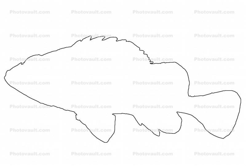 Rockfish, outline, line drawing, shape