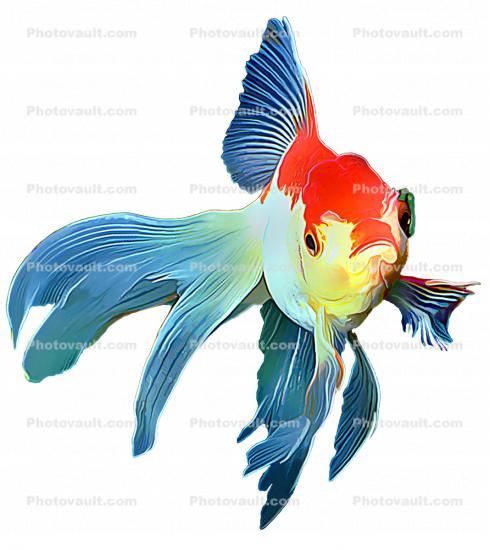 Fantail Goldfish  photo-object, Abstract