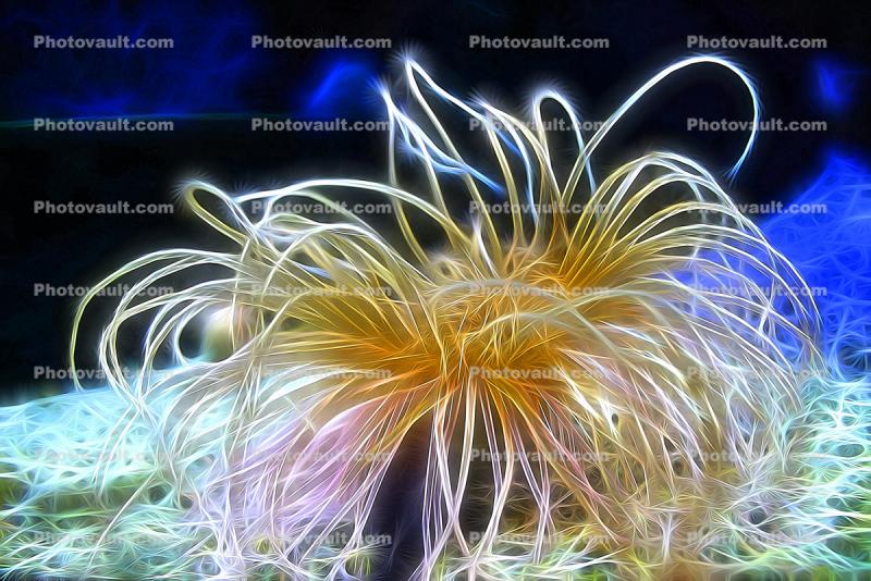 Green Anemone, Paintography, Abstract