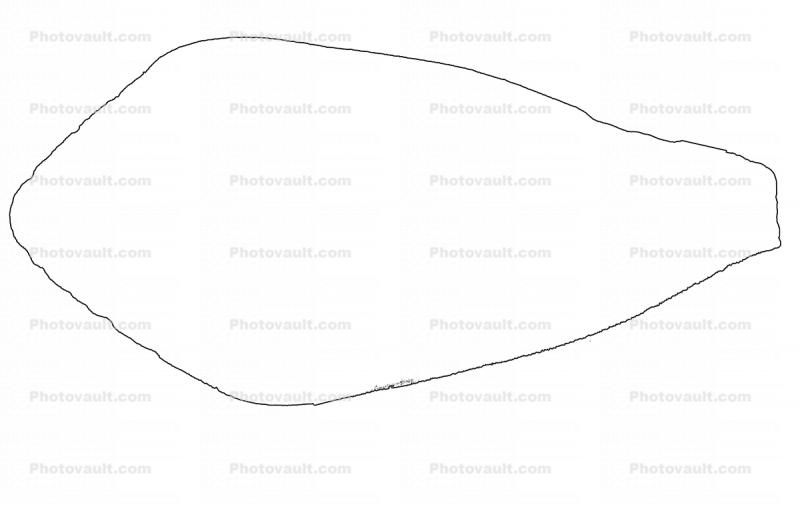 California Cone Snail line drawing, outline, (Conus californicus), Conoidea, Conidae, Coninae, shell, predatory sea snail, venomous, poisonous, shape, logo