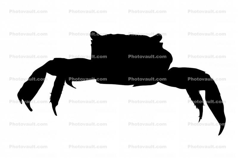 Red Claw Mini Crab Silhouette, logo, (Sesarma Bidens), Malacostraca, Decapoda, Sesarmidae, shape