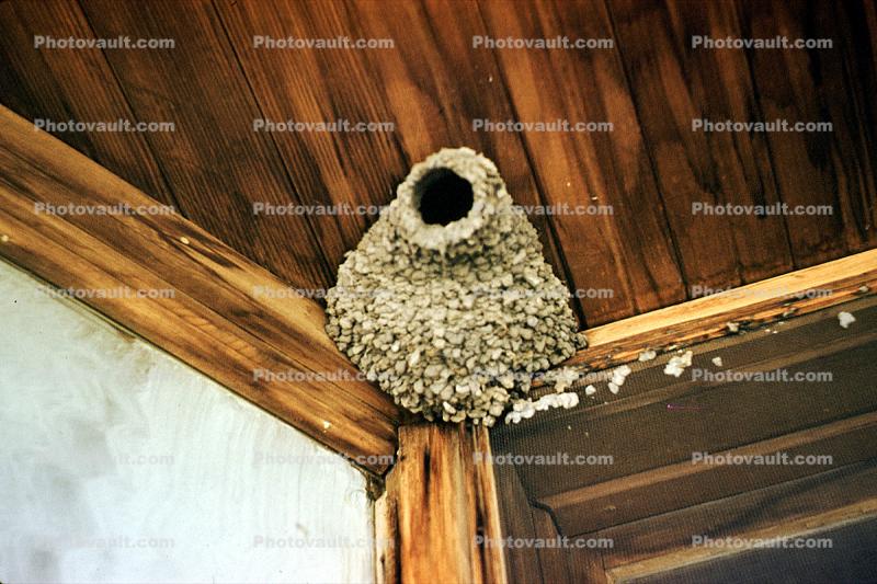 Swallows Nest, Mud