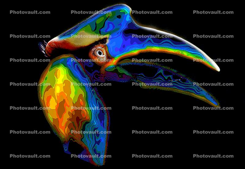 Psychedelic Toucan, psyscape
