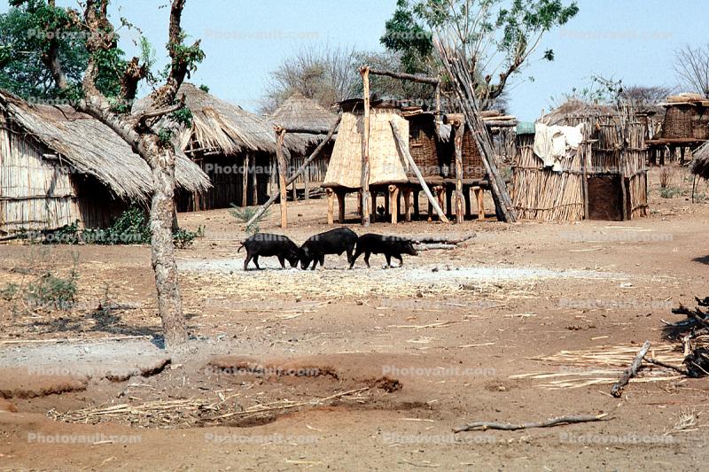 Village, huts, Africa, Shanty Town, Grass Huts