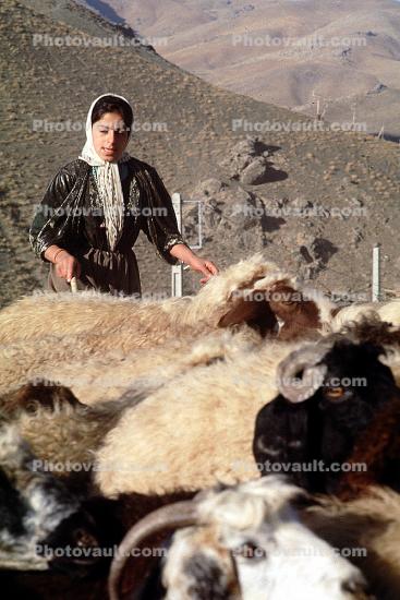Woman Sheep Herder, Dougardare, Iran