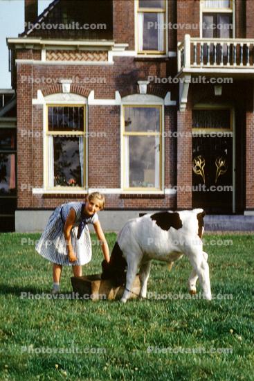 Girl with a calf, 1959