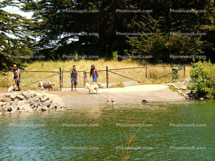 John McLaren Park, Off-Leash, San Francisco, Dog Play Area