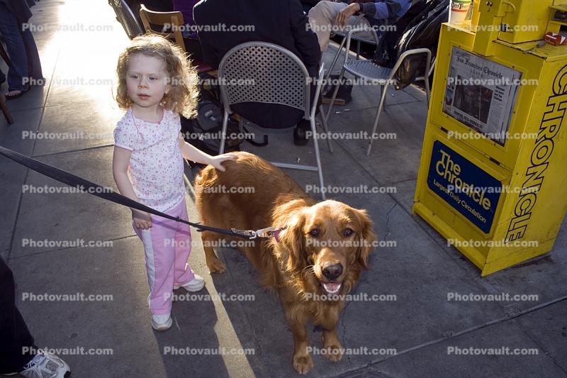 large dog breed, North-Beach, San Francisco, Cafe