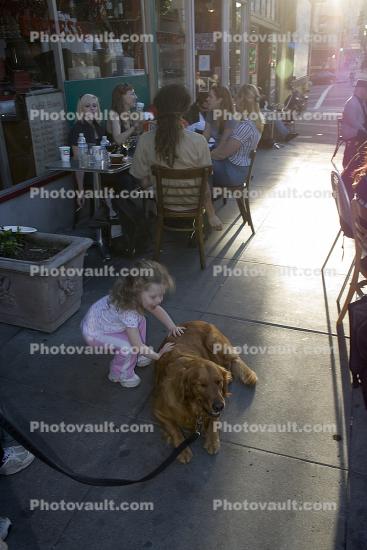 North-Beach, San Francisco, Cafe, large dog breed