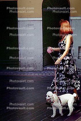 poodle, woman walking her dog