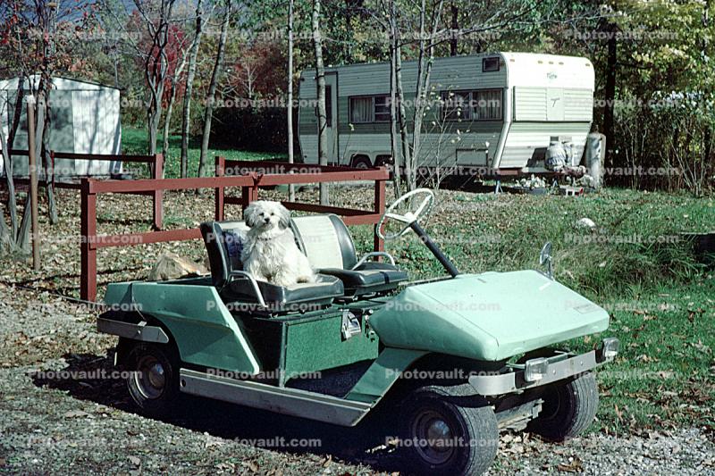 golf cart, trailer, terrier, 1960s