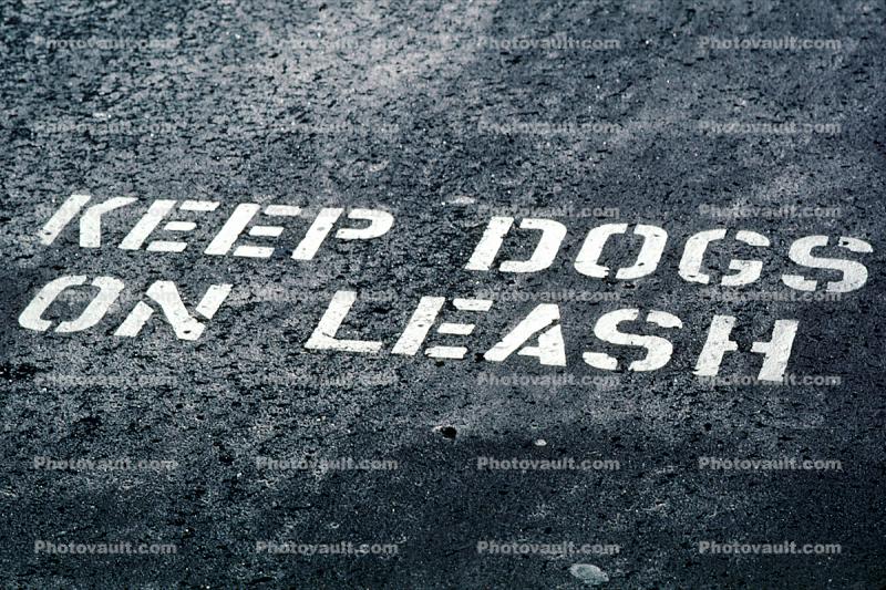 Keep Dog on Leash