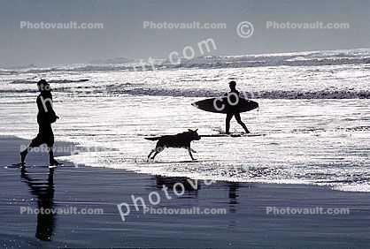 Fetching a Ball, running, sand, beach, surfboard, Pacific Ocean, surfer, waves, Ocean-Beach