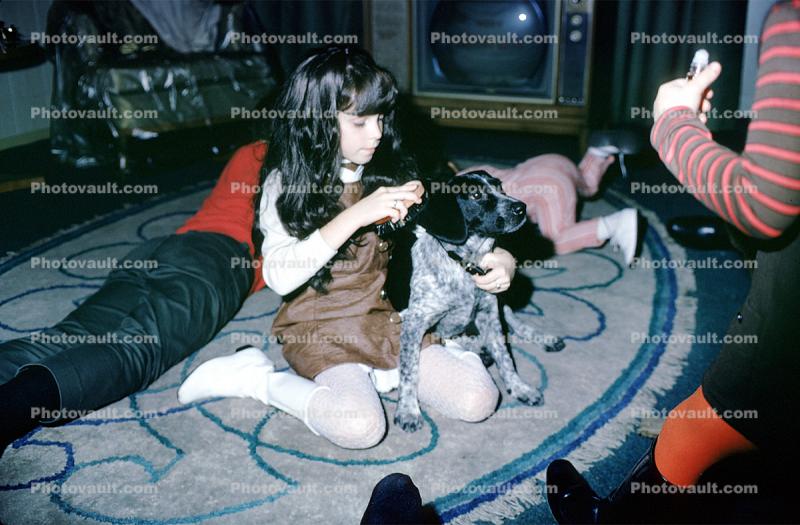 Girl Grooming a dog, rug, 1960s