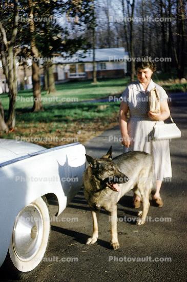 Lady, Purse, Dress, Dog, 1960s