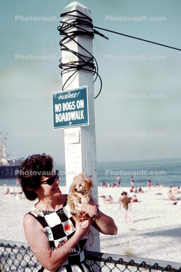 Please No Dogs on Boardwalk, Lady, Woman, Poodle