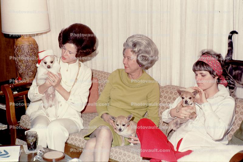 women sitting on a sofa, couch, Chihuahua, small dog breed, 1960s