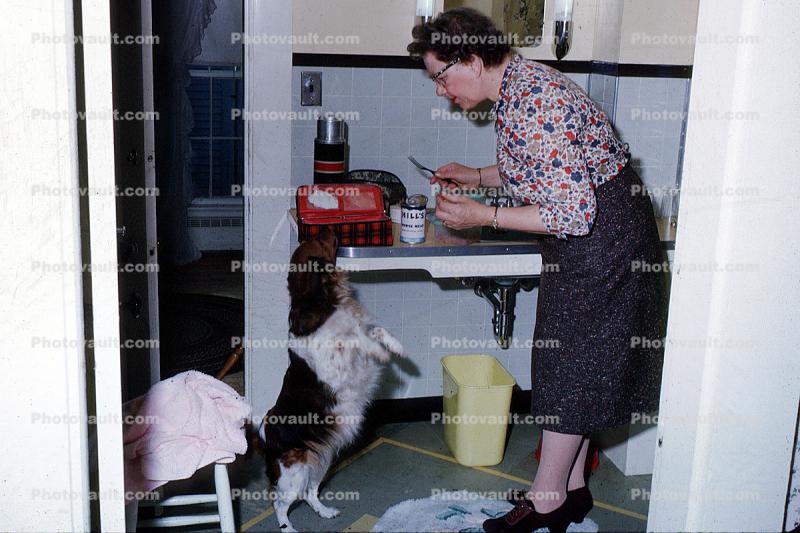 Doggy Treat time, 1950s
