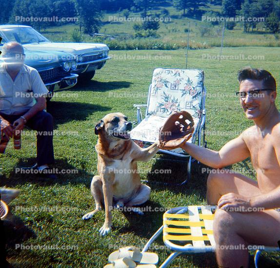 Dog wearing a mitt, baseball, Chevy Car, Cadillac, 1950s