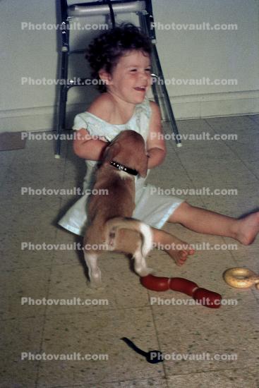 Little girl with Puppy, smiles, laughing, cute, wagging tail, 1950s