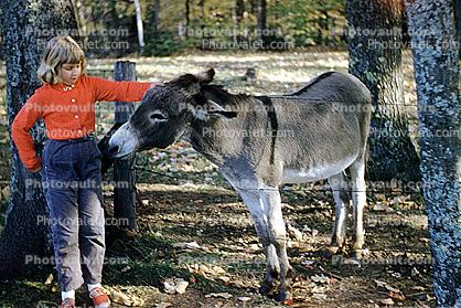 Girl with a donkey