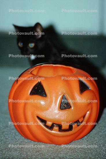 Black Cat behind an orange plastic smiling pumpkin