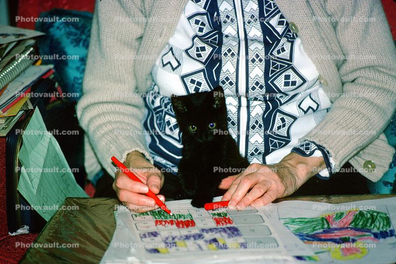 Black Cat on grandmas lap, puzzle, hands