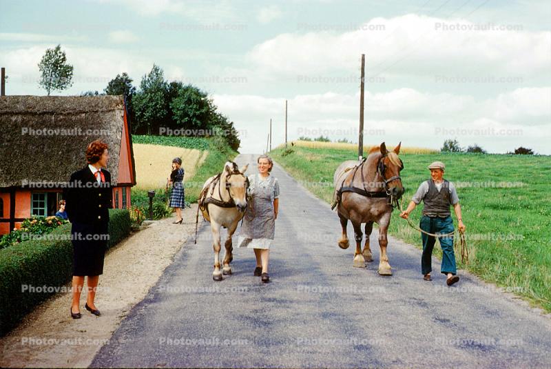 Horse, Road, Man, Woman, walking, Fairytale Tour, Denmark, August 1961, 1960s