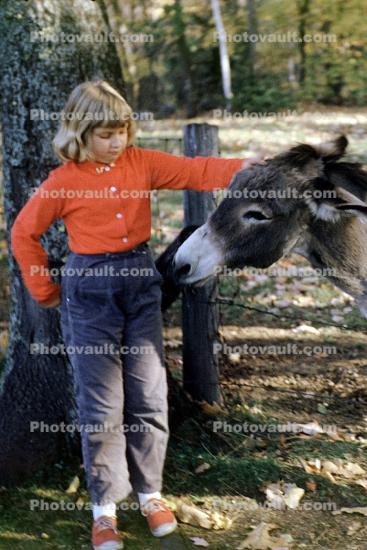 Donkey, Girl, Autumn, Hannah, 1950s
