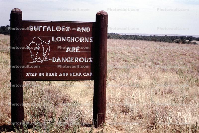 Buffaloes and Longhorns are Dangerous, Wichita Mountains Wildlife Refuge