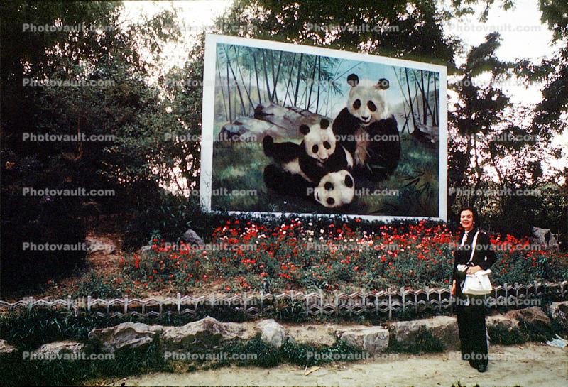 Panda Bear, Beijing