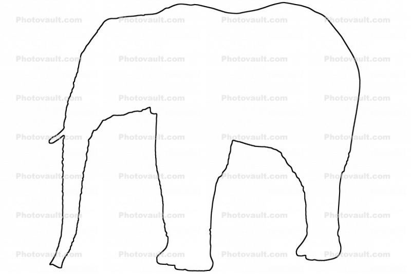 Elephant outline, line drawing, baby, shape