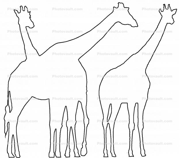 Outline of Giraffes, line drawing, shape