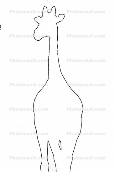 Masai Giraffe outline, line drawing, shape